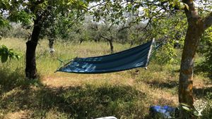 Azienda agricola gestita con permacultura