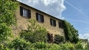 Olive farm / animal sanctuary