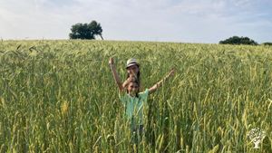 Ferme céréalière,  transformation en farine et en pain.