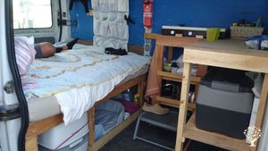 Farming our food whilst creating a beautiful forest.