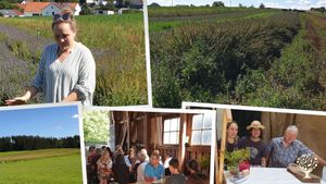 Kleiner Familienbetrieb in Aussiedlerlage mit Kräuter und Blumenanbau und ein paar Tieren