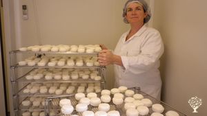 Exploitation agricole de 150 caprins  et transformation fromagère