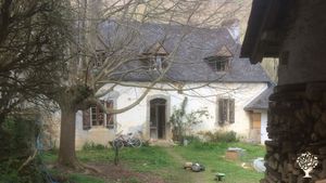 Production de fleurs, potager, chevaux