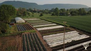 Regenerative Landwirtschaft - Marktgarten - Weidehühner