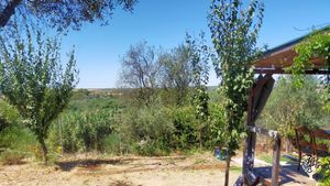 Buscamos varias personas para ayudarnos en la construcción de nuestra nueva casita, huerto y jardín.