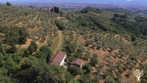 Casa familiare e giardino - rurale, Fattoria non professionale, Fattoria amatoriale