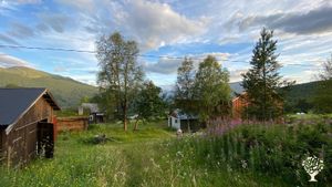 Transformation of an historical farm into a peaceful gathering space - stay, connect, experience