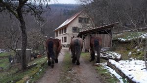 la ferme et ses acteurs principaux