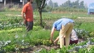 Fattoria multifunzionale di pianura con bosco e pascoli