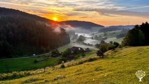 Bio-Nebenerwerbsbetrieb im Mittleren Schwarzwald