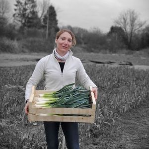 Delphine