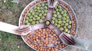 Ecovillage under construction