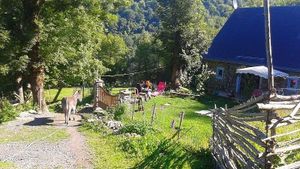 Grange en montagne sur 3ha entre bois et près. Potager environ 800 m2. un cheval , un âne, 2 chiens,