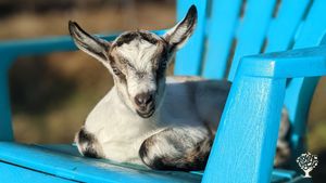 Educational Centre, Agritourism Destination, Homestead, Eco Retreat