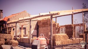 Etsbalished permaculture farm needs help