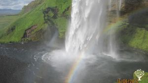 Mixed Farm, Family farm