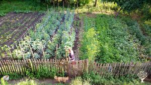 Family home and garden - rural