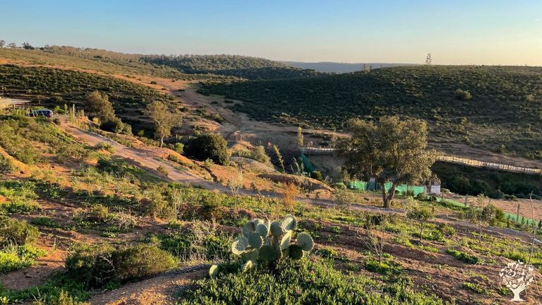 Maple Farm Rabat Organic Farm with Eco Constructions near Rabat - WWOOF Independents