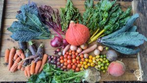 Market Garden &  SoLaWi