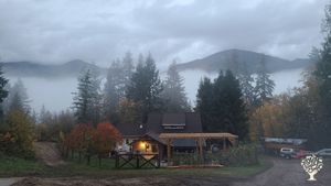 Mixed vegetable farm, small orchard and chickens