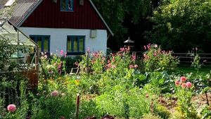 Smallholding, Eco Retreat, Fruit tree nursery, Orchard, Family farm