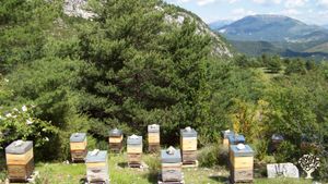 Ferme biologique certifiée en Provence dans le haut var.