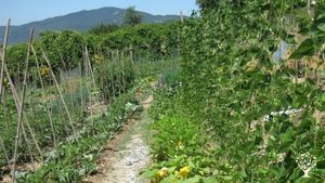 Società Agricola il Doccione tra la Verna e Camaldoli