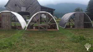 Small-scale diversified farm in western NC growing broad spectrum of veggies and raising livestock