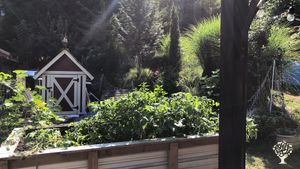 Family home and garden - rural