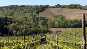 Organic family-run farm in Tuscany