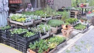 Organic herb farm, farmshop/Markets  producing and selling local products and crops