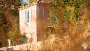 Maraîchage petite surface sur sol vivant - Au pieds des Alpilles
