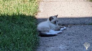 Family farm located in  peaceful sandhills of Nebraska