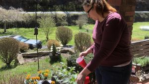 Homestead, Woman-operated