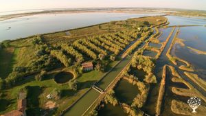 Società Agricola Selvatica