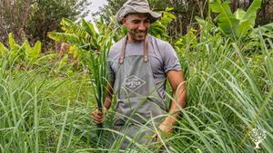 Distillerie artisanale d'huiles essentielles  ⚗️🇷🇪