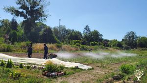 Ferme urbaine en maraichage biologique