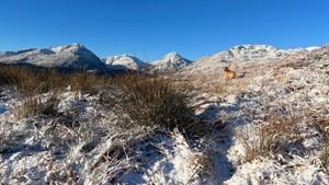 January - view to the Arrochar Alps from the top of the property