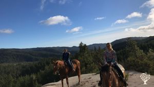 4th generation California farm located between Santa Cruz and Half Moon Bay