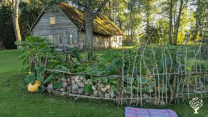 Help us building a Tiny House as heart for a community place