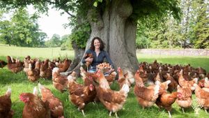 Family farm specialising in local food production