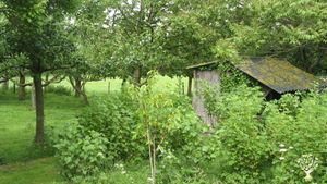 Hobby Farm, Eco Retreat, Family farm