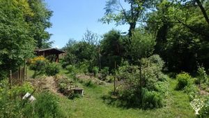 Permaculture&nbsp;: potager, serre, verger, forêt comestible, poulailler