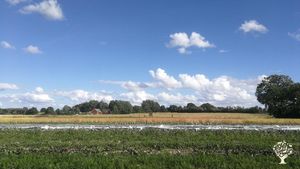 Family farm, Community farm