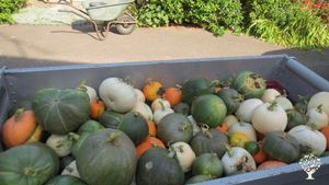 Educational centre, smallholding