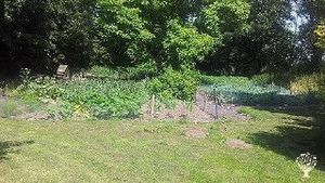 House and garden