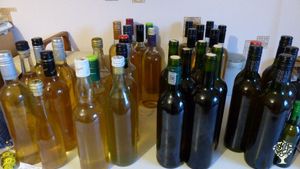 Wine Making