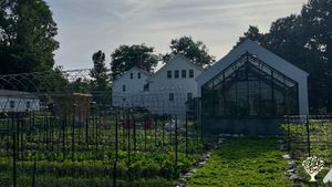 Women, LGBT, and BIPOC run market vegetable and flower farm and  chicken hatchery