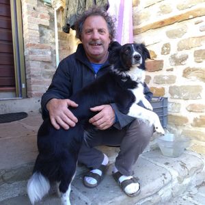 Stefano
