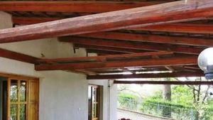 Piccola azienda agricola biologica a 5 minuti di macchina dal mare